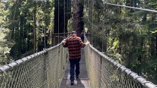 WALKING AMONGST THE TALLEST TREES - REDWOOD SKY WALK 🌲 #RedwoodSkyWalk