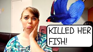 FISH TANK DISASTER | Learn From My Mistakes