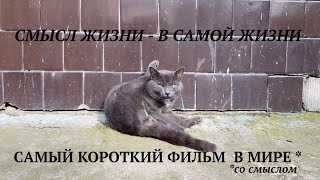 Смысл жизни - в самой жизни (Драма2020). Самый короткий фильм в мире со смыслом! Shortest movie 2020