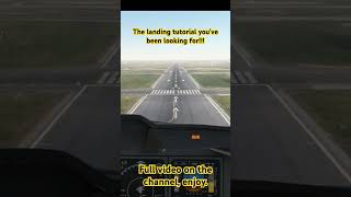 How to land the MD11 like a pro. #aviation #flightsimulator #tfdi #md11