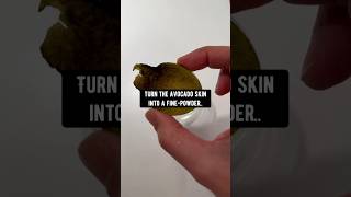 How to Make a Face-Mask using Avocado Peels! creative explained