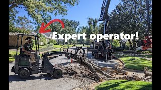 Moving logs like a PRO - Intrepid KM100 Tele miniloader & Branch Manager Grapple