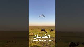 وجدي على ديرة الفدعان