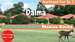 Dalma Forest Rest House Makula Kocha |  দলমা বনবাংলো | Dalma Wildlife Sanctuary| Jharkhand Tour Ep-2