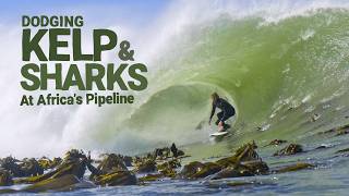 Surfing amongst kelp and sharks at Africa's Pipeline