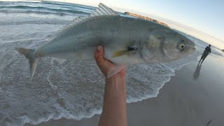 How to catch Australian Salmon! Coffin Bay South Australia