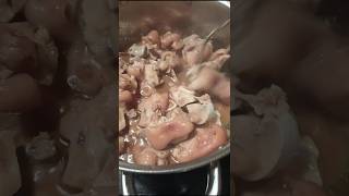 Going Back To My Roots North Carolina Home Grown | Pig Feet | Musician: Philip E Morris