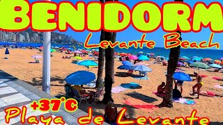 Benidorm On 19 August 2023  live tour 4K