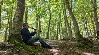 Aspettando l’autunno. Meditazione nel bosco con il flauto nativo americano