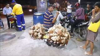 46 chicken on a motorbike