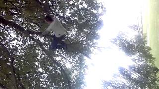 How to Clime a Tree the Right Way