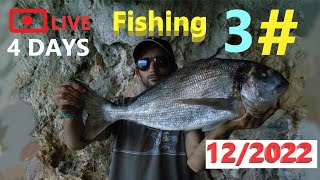 3# 4 dias LIVE Fishing, em busca da #dourada  #dorada  perdida #fishing  #pesca