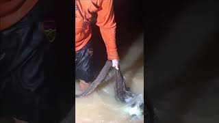 Fisherman Cast Net Fishing Real Life Amazing Fishing At Countryside.(Episode 160)