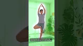 Tư Thế Yoga Cái Cây: Lợi Ích, Lỗi Sai, và Hướng Dẫn Định Tuyến | Nguyên Yoga