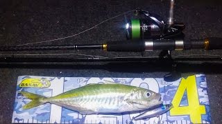 Su üstü sahte ile istavrit avı & Shimano Fortuna 02T & Spinning for horse mackerel