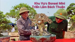 Khu Vực Bonsai Mini Triển Lãm Bách Thuận