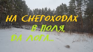 Покатушки на снегоходе / полазали по логам. 19.03.23г