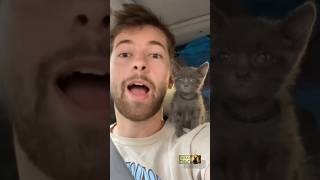 Kitten Rescue Adventure: Happy Kitten Edition!  🐱🚑💞