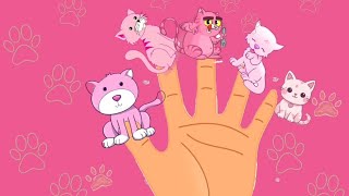 Cat Finger Family | More Nursery Rhymes and Baby Songs |