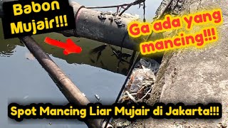 Lokasi Spot Mancing Liaran Mujair di Jakarta