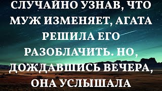 Случайно узнав, что муж изменяет, Агата решила его разоблачить. Но, дождавшись вечера, она услышал