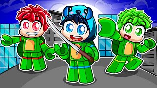 Having A Ninja Turtle Family In Roblox!