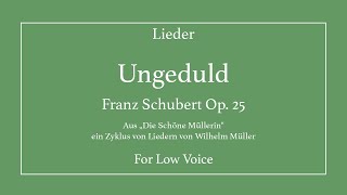 Ungeduld - Schubert - Low