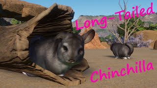 Long-Tailed Chinchilla by Gabboi, Jen, bubblywums and GiornoPizza - Planet Zoo Mod