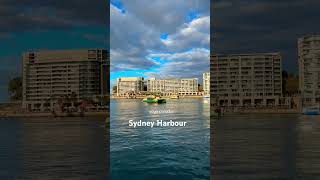 Sydney Harbour #shorts #nsw #australia #circularquay