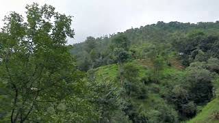 jabori, siran valley, mansehra, kpk, Pakistan جبوڑی سرن ویلی مانسہرہ خیبر پختونخوا پاکستان(3)