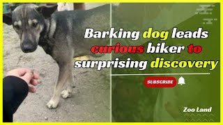 Dog won’t stop barking at biker until he follows and sees wriggling bundle on ground