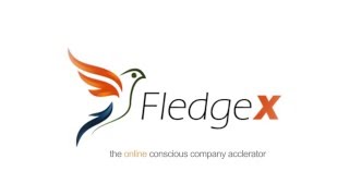 FledgeX Logos