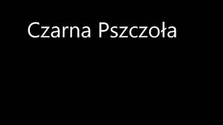 Pszczoła czarna (marco012)