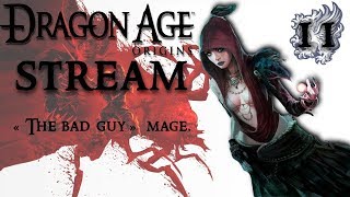 dragon age стрим ( начало)