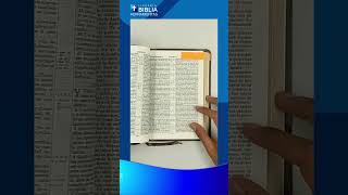 Biblia Rv1909 Imitación Café