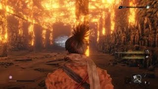 Sekiro™: Shadows Die Twice. Леди Бабочка