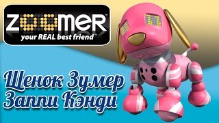 Интерактивная собака робот зуммер -Zoomer Zuppies Заппи Кэнди