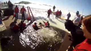 Lansing Polar Plunge 2014