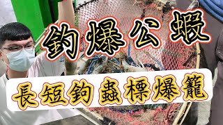 【釣蝦】蟲標長短鉤大戰巨無霸公蝦 蝦體很大  長短鉤蟲標釣爆大公蝦!