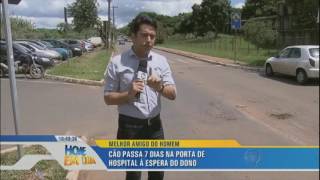 Cão passa sete dias na porta de hospital à espera do dono