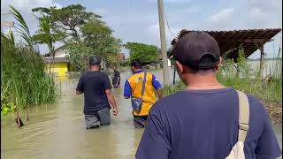 Dsn.padek Wanajaya Ds.Bobos kec.Legonkulon Subang jabar(1)