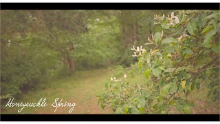 Honeysuckle Spring || EOS R || Mini Doc