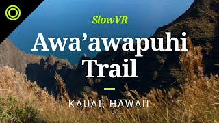 Quiet Morning at Awa'awapuhi Trail - Kauai, Hawaii, USA [Slow VR 5K 360° Video & Sound]