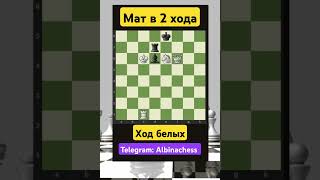 Telegram: Albinachess #chess #chorts #шахматы