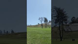 NorCal Regional 11th approach Berkeley CC 20240520