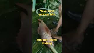 maya maya subrang laki #buhaymandaragat #shianmaantv #amazingfish #internationalfishing #fishlover