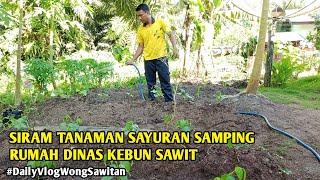 Minyirami Tanaman Sayuran Kacang Panjang,Buncis,Jagung//DailyVlogWongsawitan