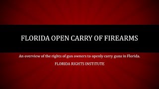 Florida Open Carry of Firearms Law Overview - Florida Rights Institute