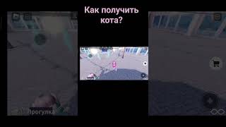 как получить кота? #качественное #прикольный #shortsvideo