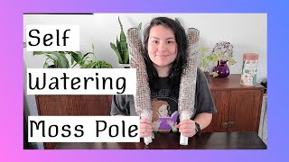 Self Watering Moss Pole | First Moss Pole